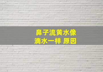 鼻子流黄水像滴水一样 原因